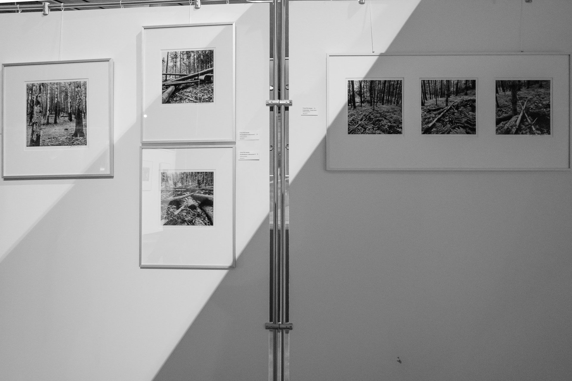 Ausstellungsfotos in schwarz-weiß