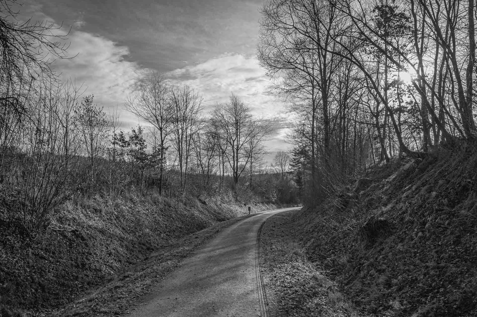 Regentalradwag bei Viechtach in Licht und Schatten