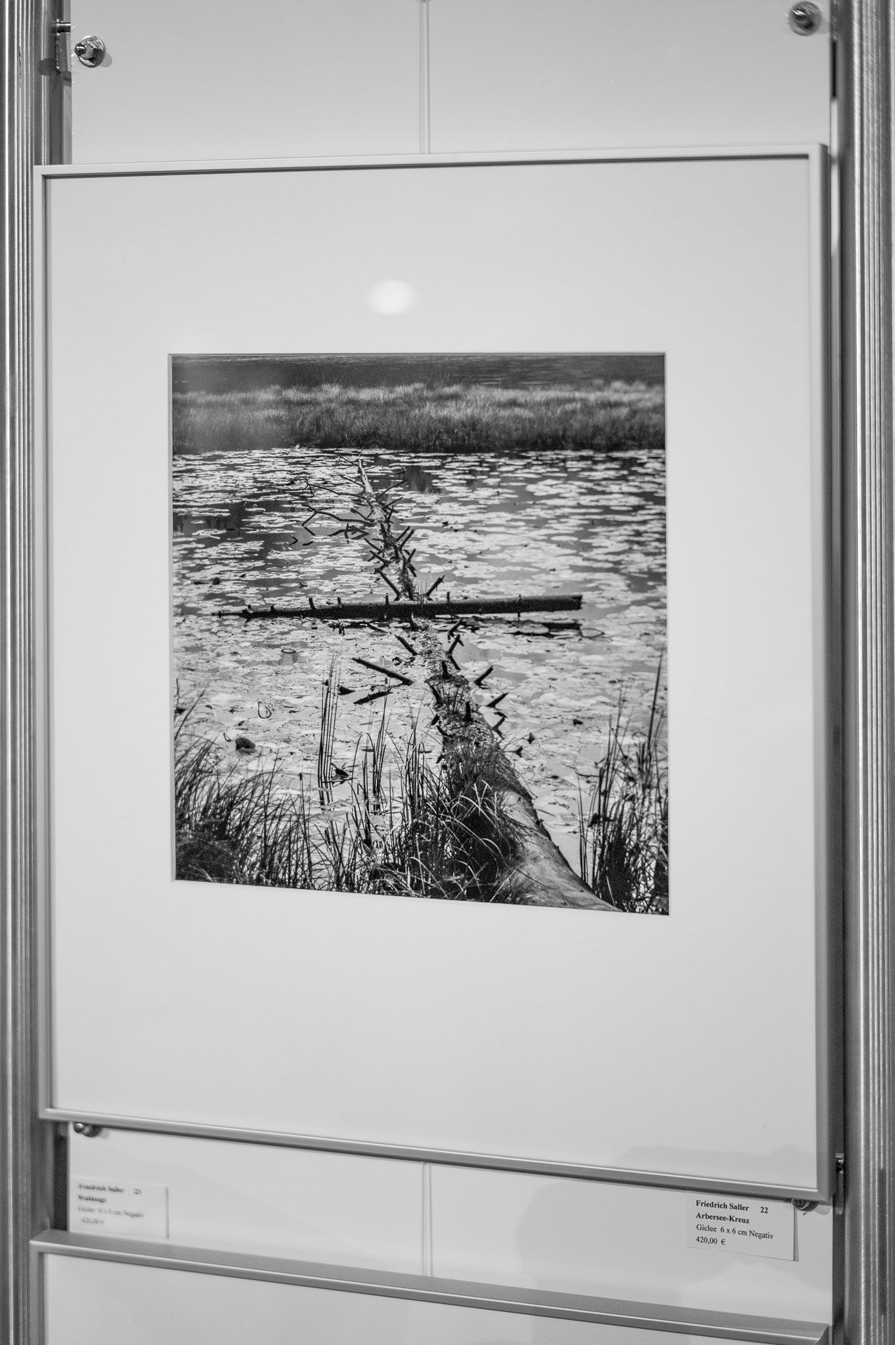 Motiv "Arberseekreuz" der Ausstellung WoidLand