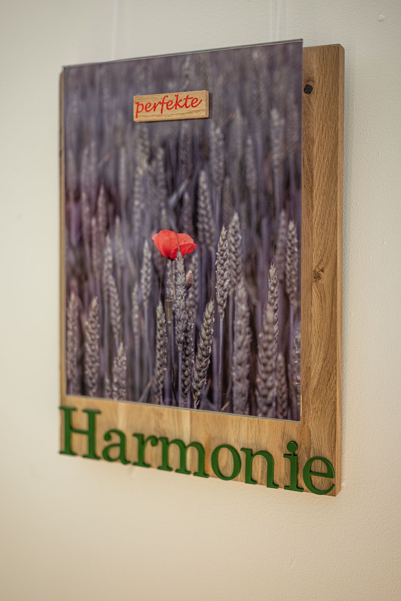 Mohnblume Perfekte Harmonie