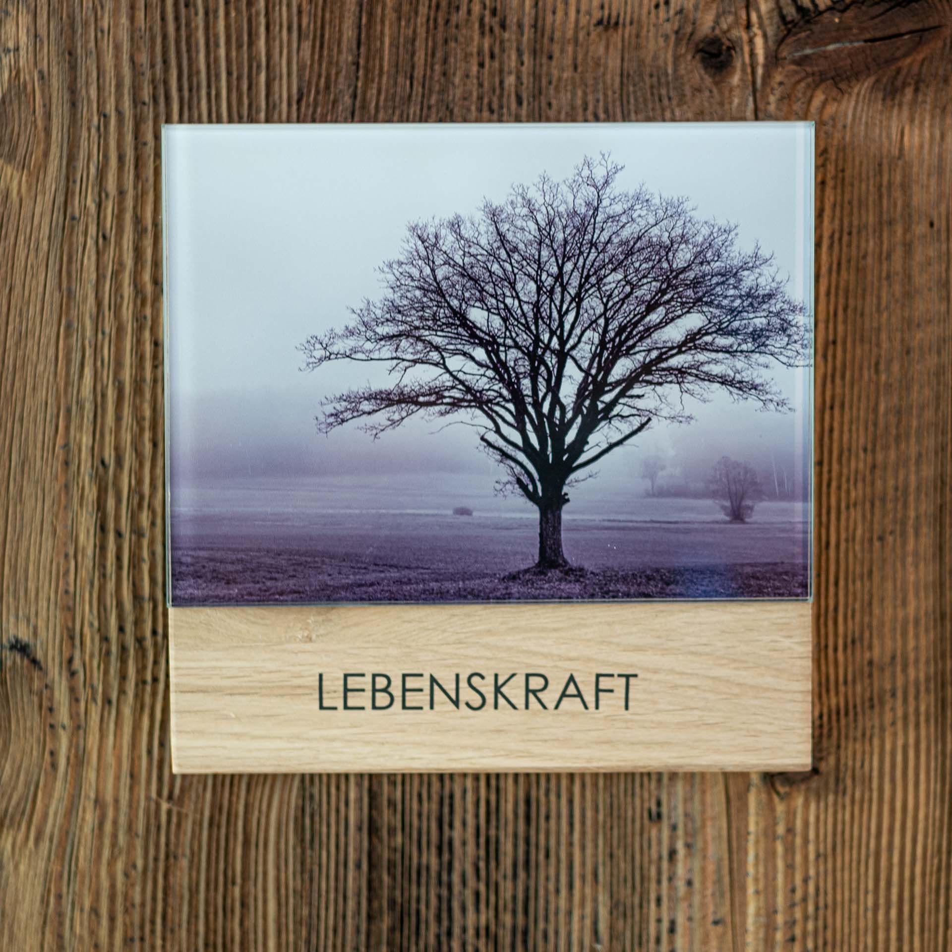 Lebenskraft - Nussbaum