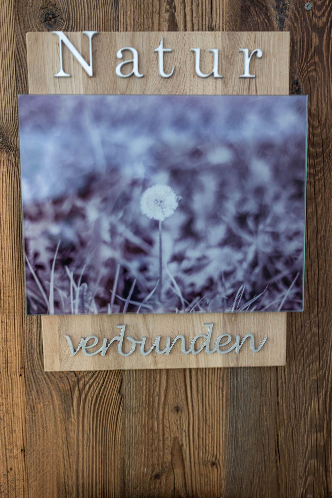 Löwenzahn - Naturverbunden